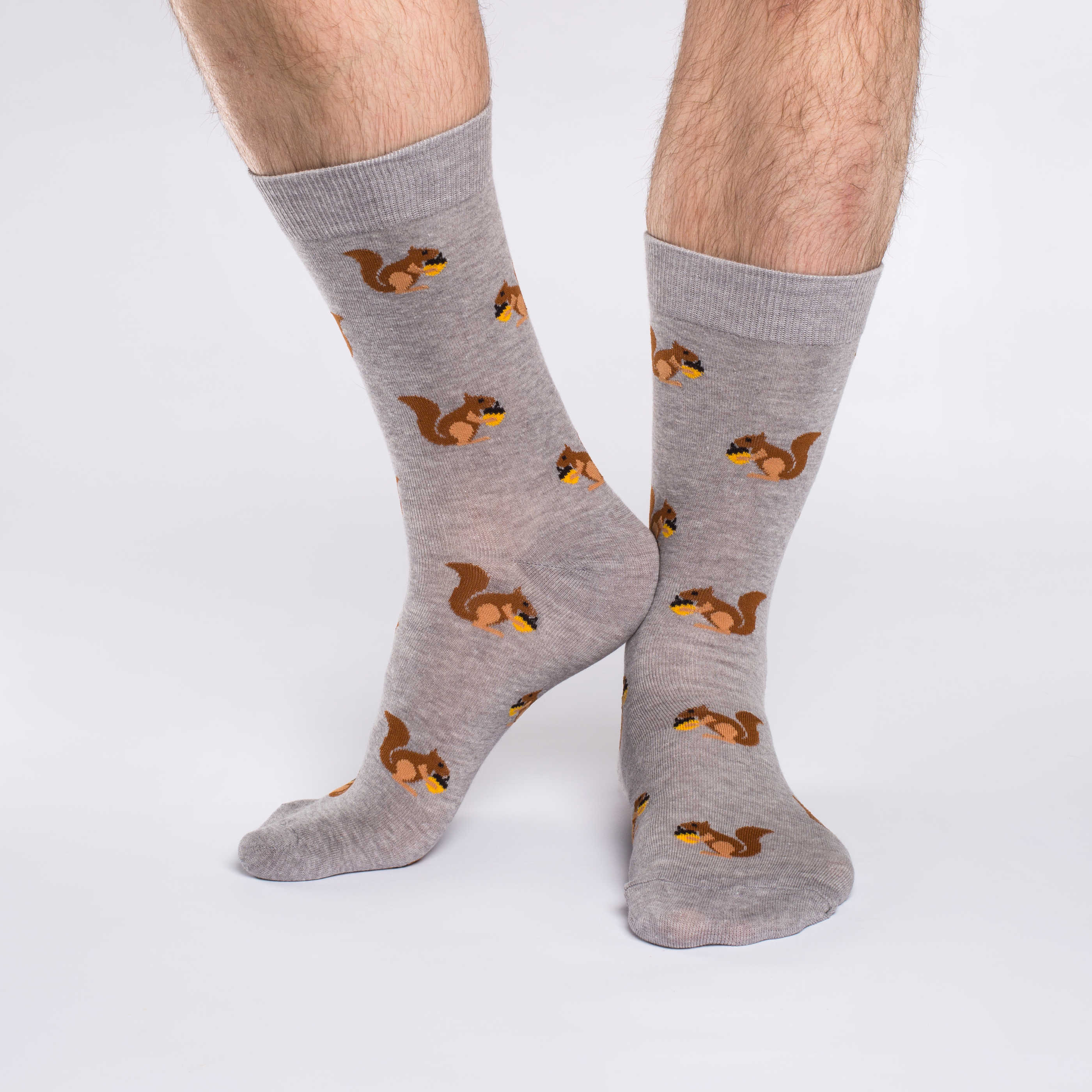 Men's Squirrel Socks