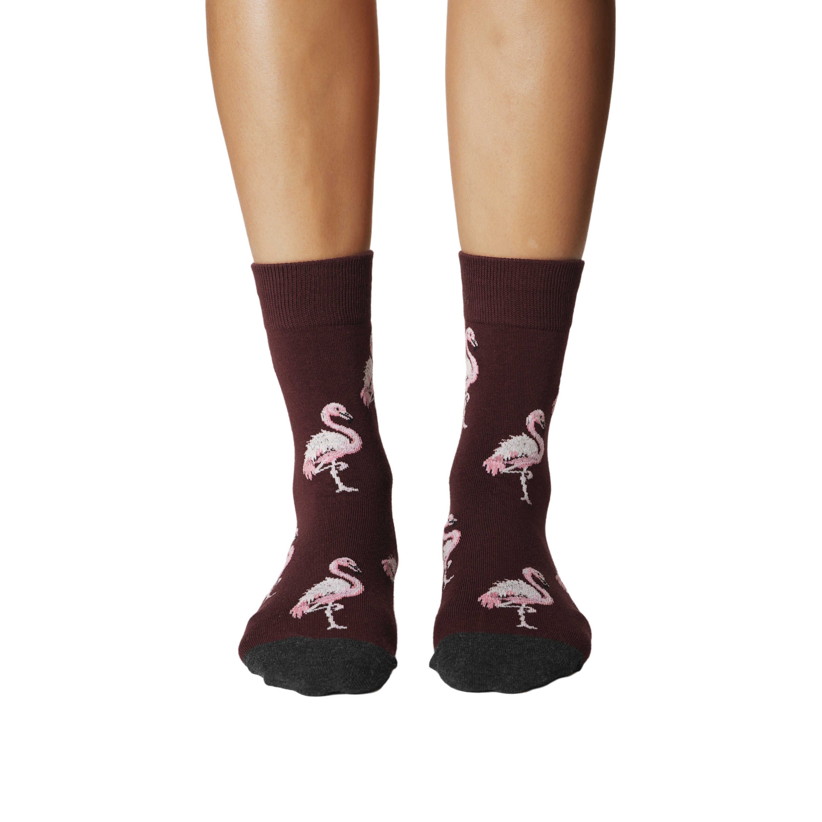Women's Pink Flamingo Party Socks