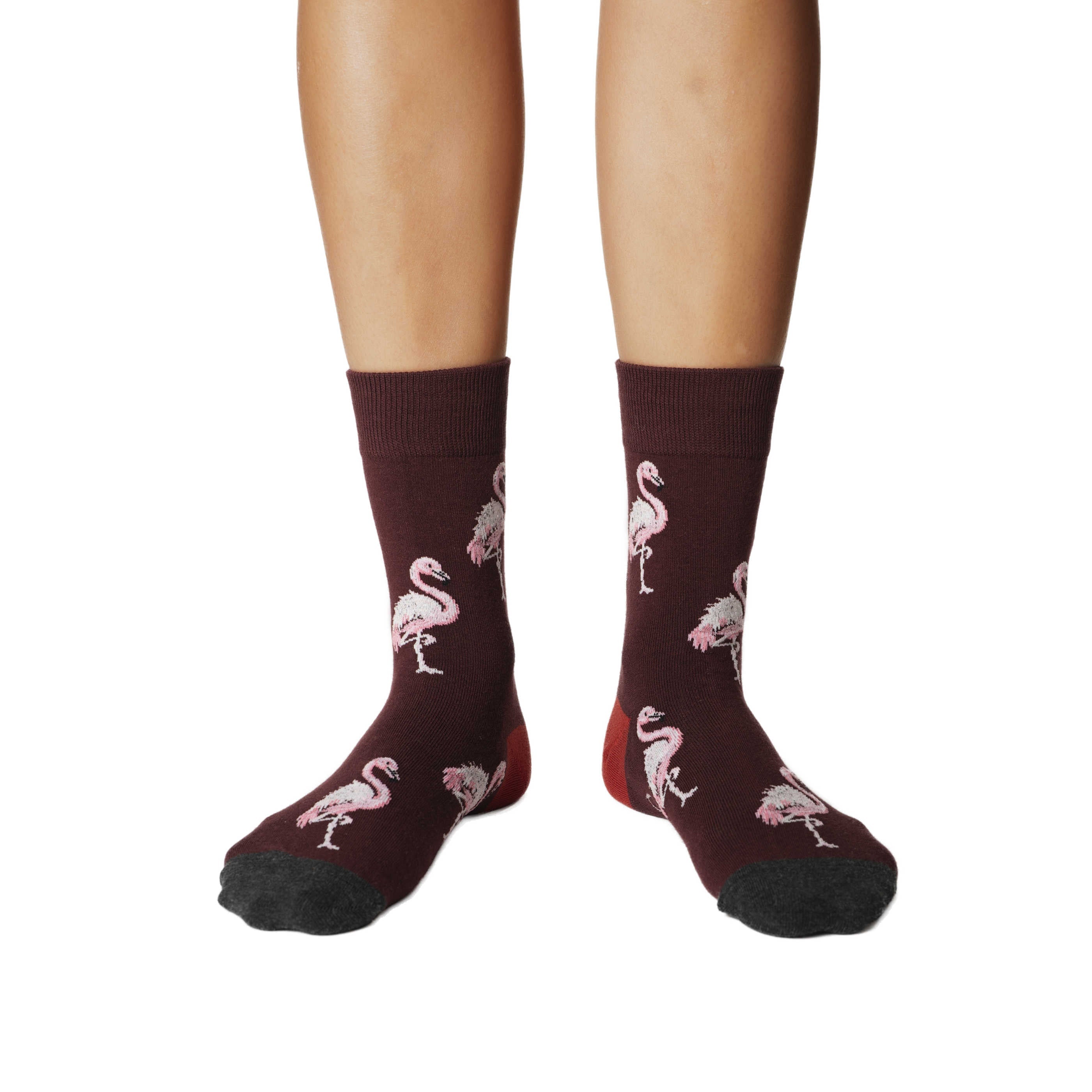 Women's Pink Flamingo Party Socks