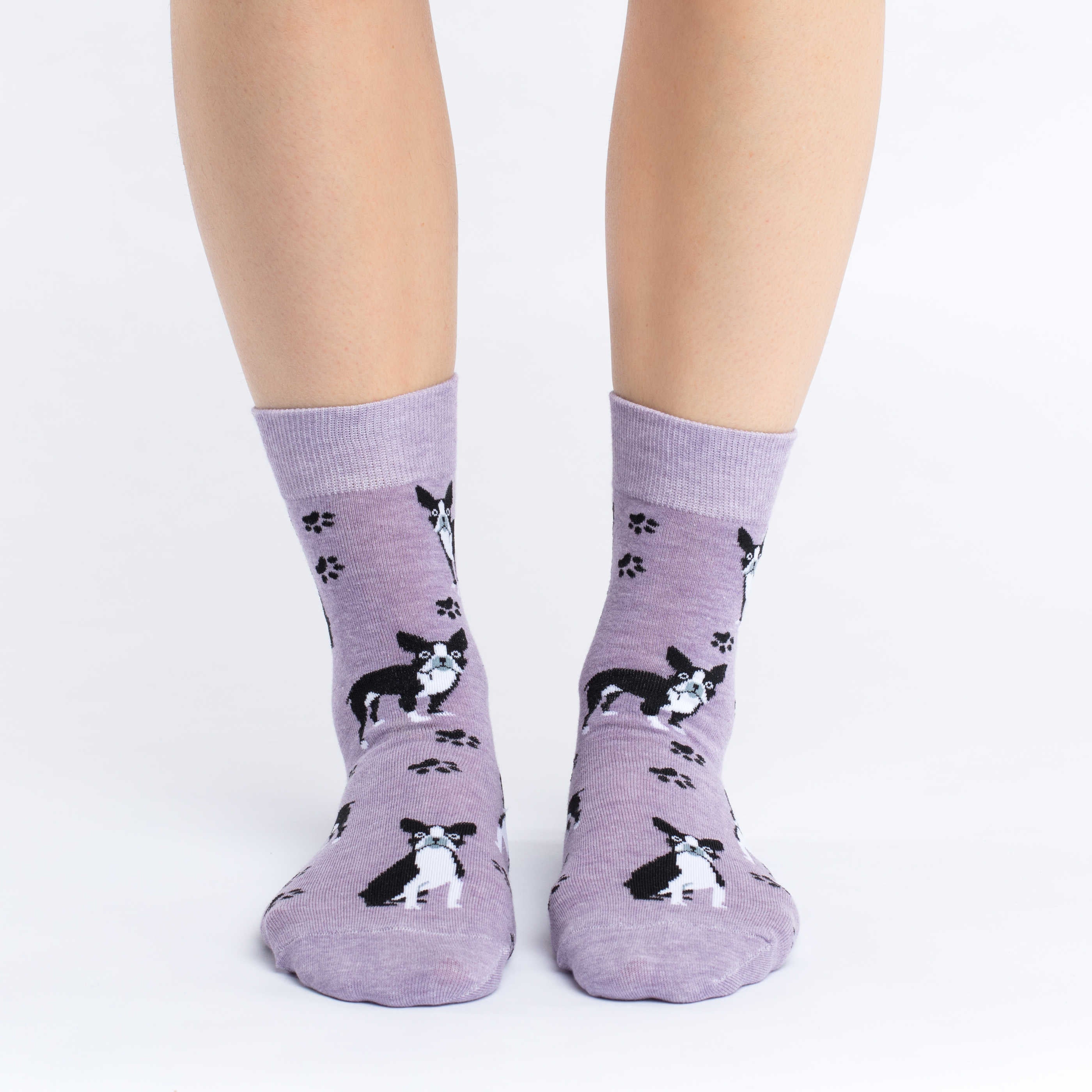 Women's Boston Terrier Socks