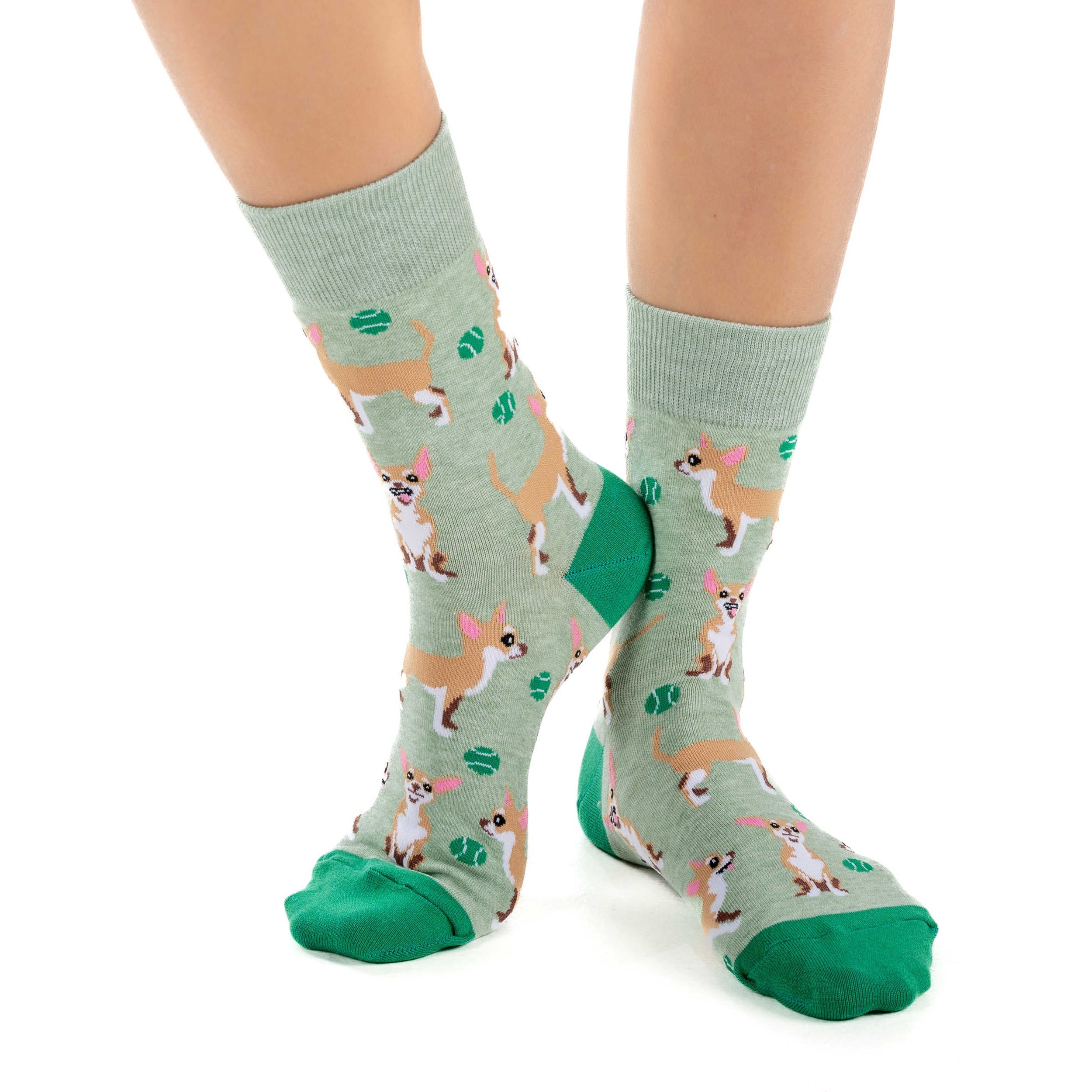Women's Chihuahua Dog Socks