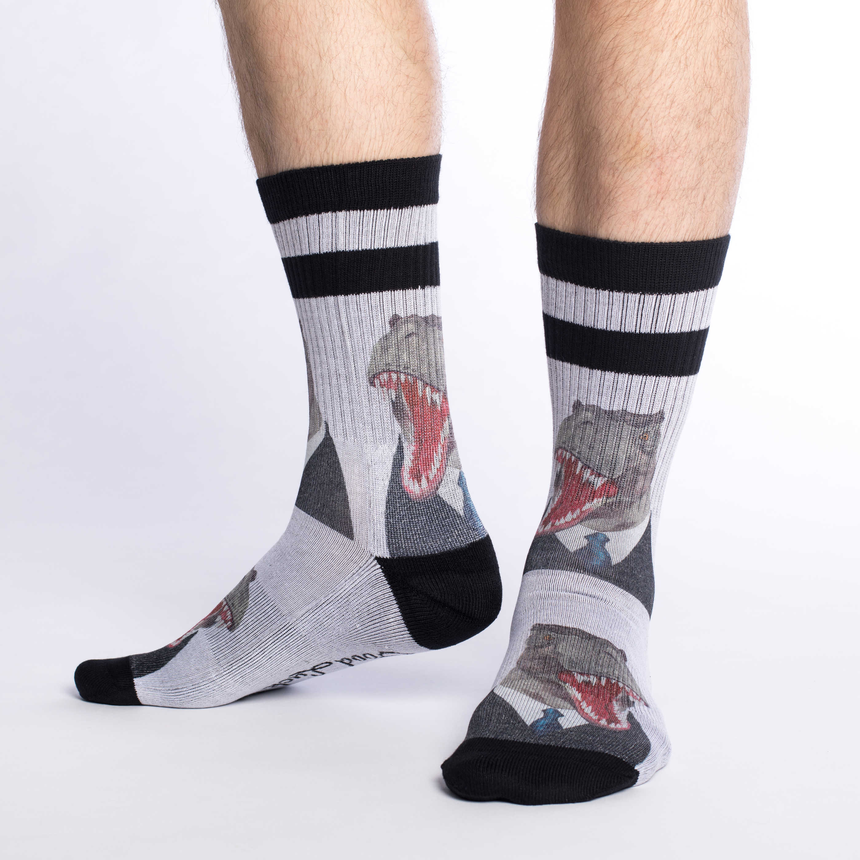 Men's Mr. T-Rex Socks