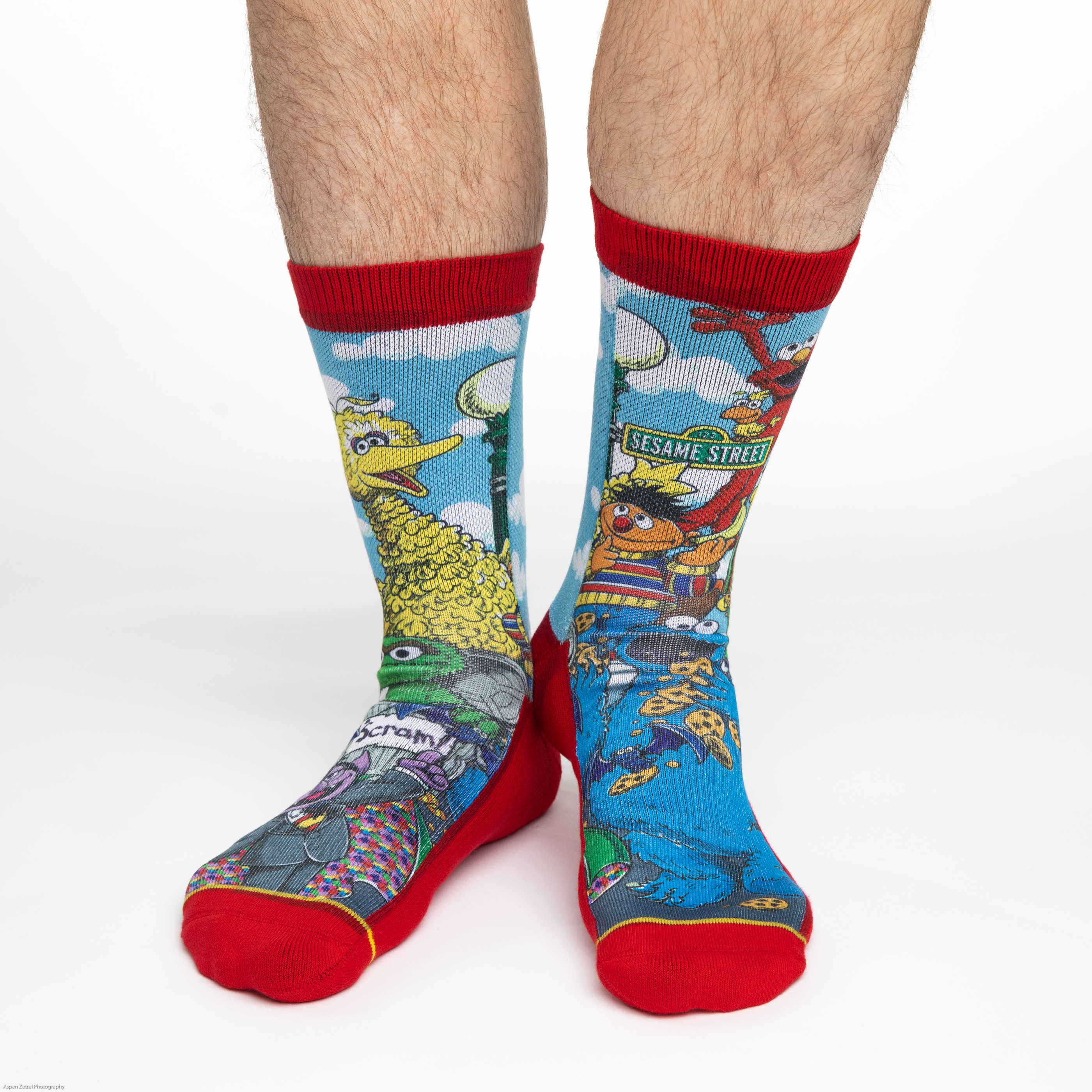 Men's Sesame Street Family Socks