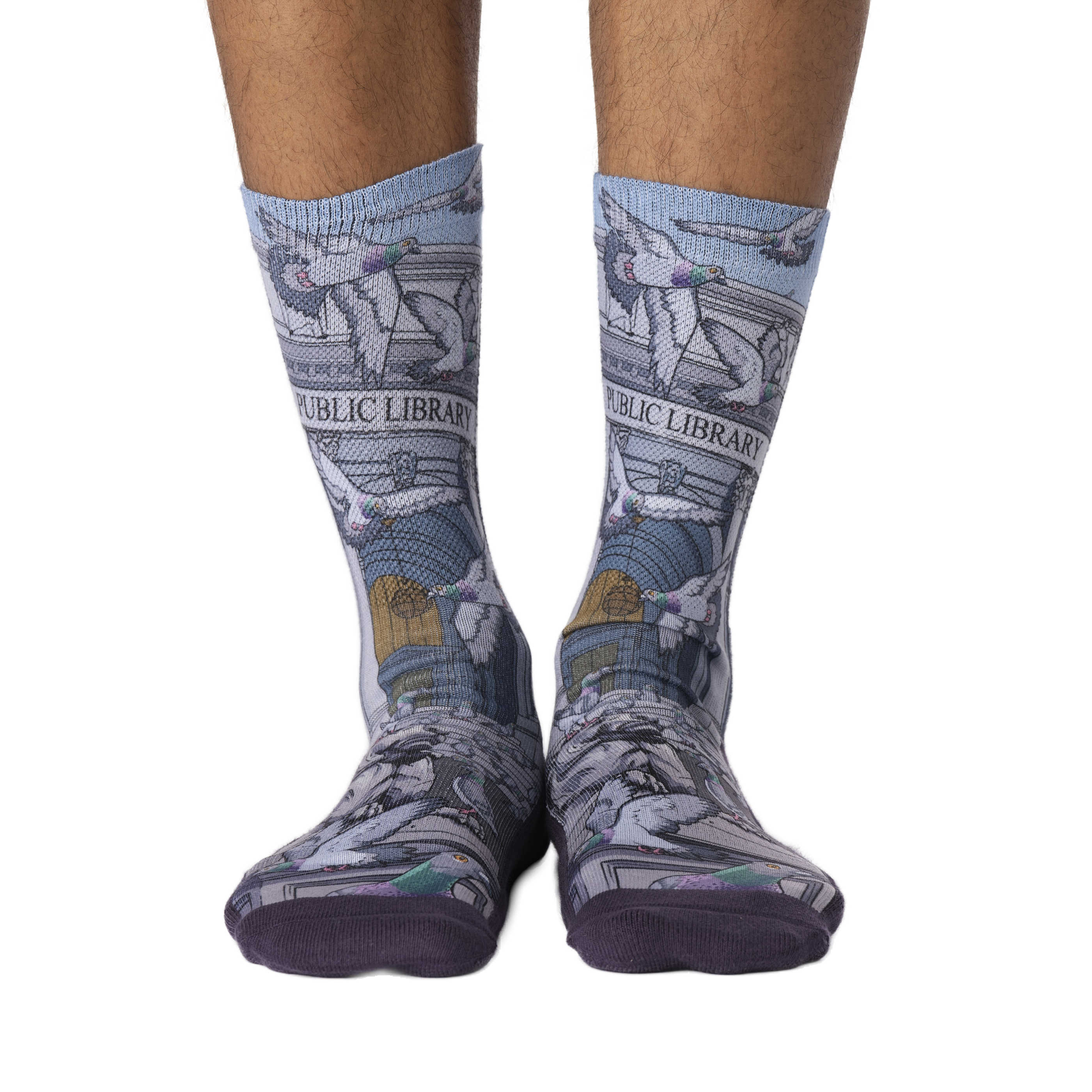 Men's Pigeons at the Public Library Socks
