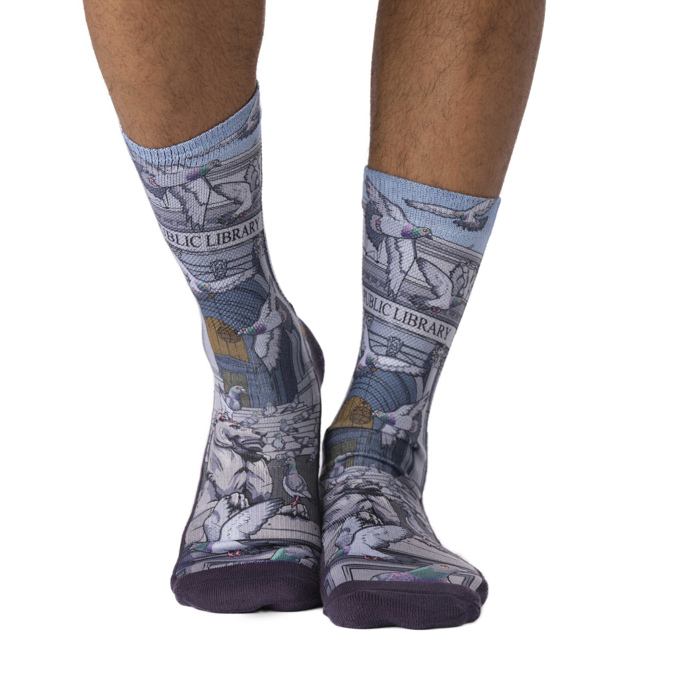 Men's Pigeons at the Public Library Socks
