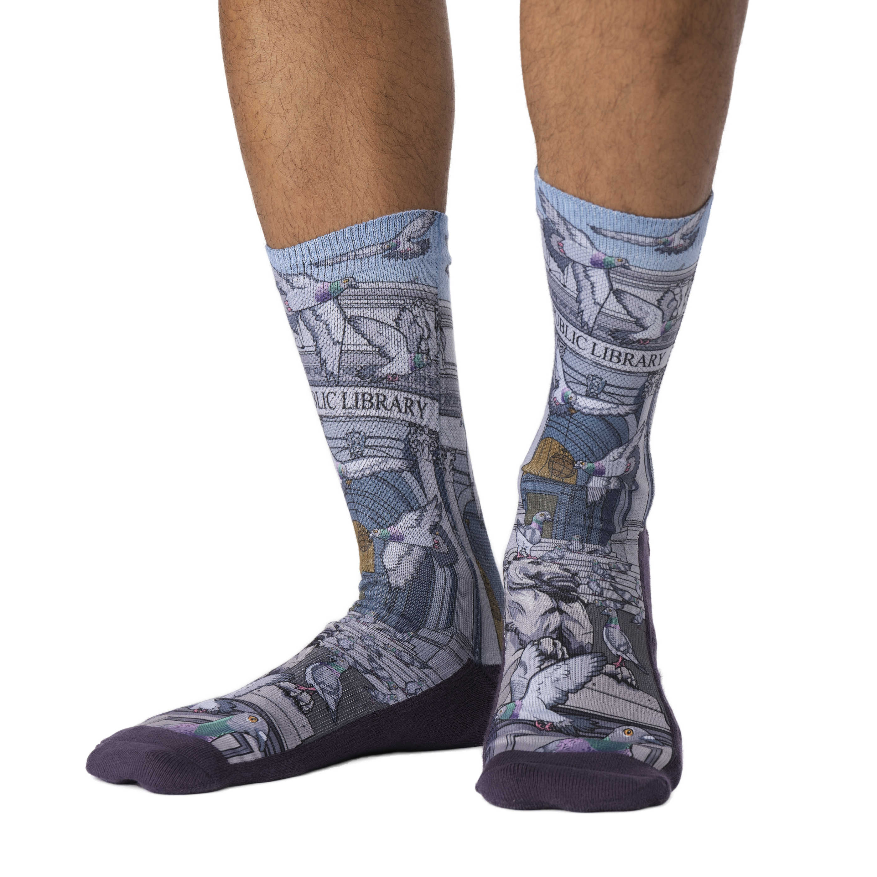 Men's Pigeons at the Public Library Socks