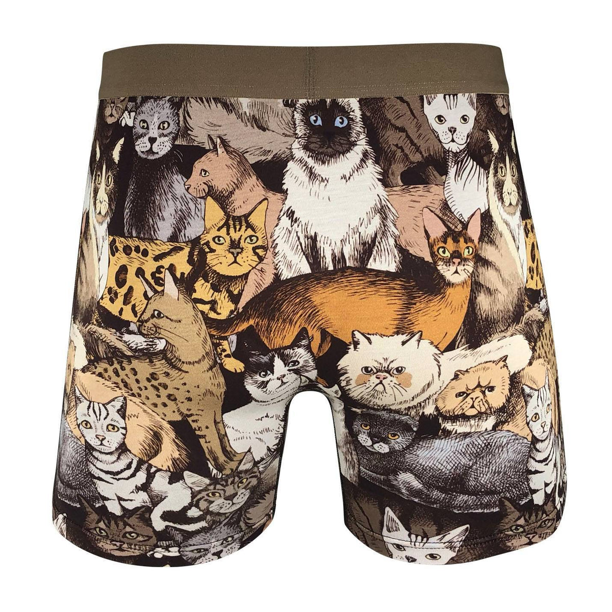 Men's Social Cats Underwear